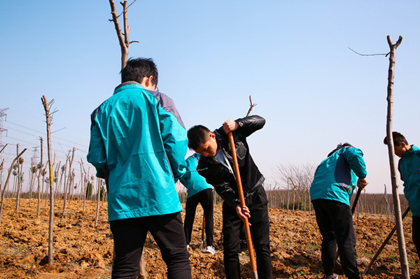 “攜手植樹，共創(chuàng)藍(lán)天”丨南京新華師生共筑新華育才林