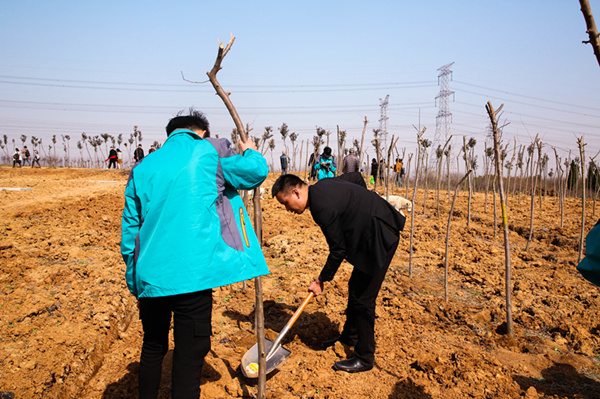 “攜手植樹，共創(chuàng)藍(lán)天”丨南京新華師生共筑新華育才林