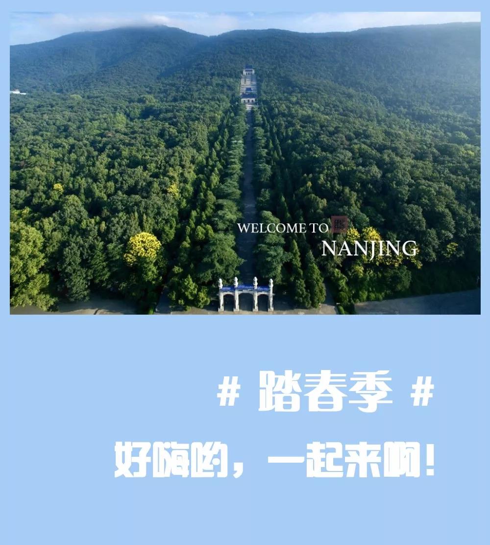 安排上了，南京新華邀你共赴免費體驗營