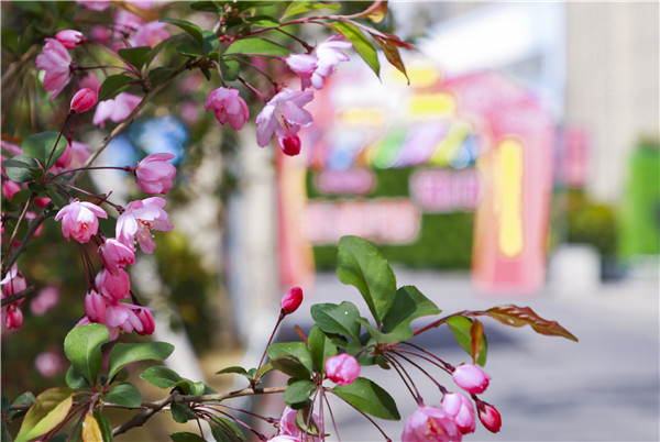 校園開(kāi)放日初體驗(yàn)，帶你走進(jìn)南新，走進(jìn)互聯(lián)網(wǎng)