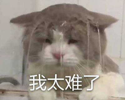 勁爆！新華電腦教育服務(wù)旗艦店正式入駐天貓，課程1折秒殺！