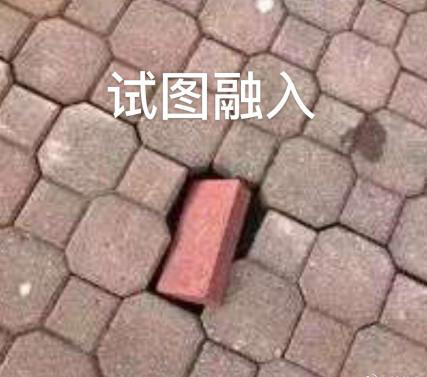 新華互聯(lián)網(wǎng)科技正式入駐Bilibili！會摩擦出什么樣火花呢？